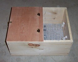 Mongoose Box